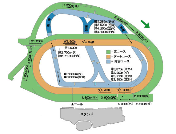 中山競馬場_平面図.png