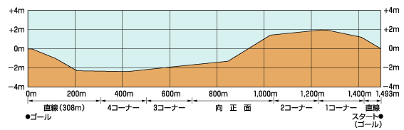 中山競馬場_断面図3.png