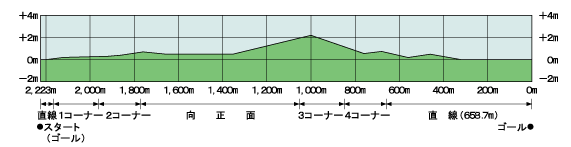 新潟競馬場_断面図2.png