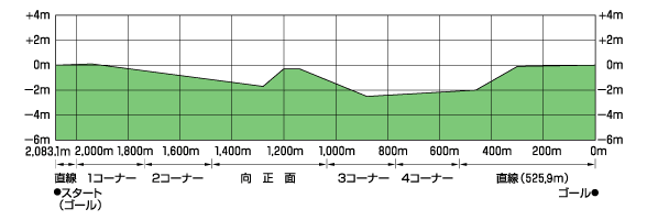 東京競馬場_断面図1.png