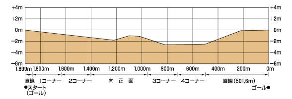 東京競馬場_断面図2.png